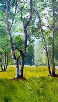 Bouleaux