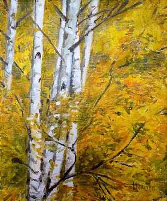 Bouleaux automne